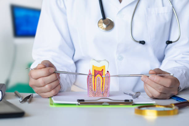 Best Pediatric Emergency Dentist in Unionville, NC